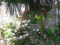 auf der Insel Visovac