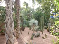 Jardin Majorelle in Marrakesh