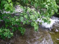 unterwegs im NTP Krka