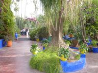 Jardin Majorelle in Marrakesh