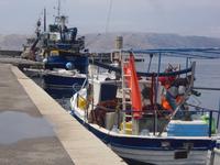 im Hotel Jastreb Begovo Radzdolje