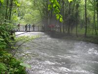 am Fluss Kupa in Zeleni Vir
