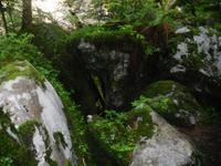 unterwegs im Park Golumbinjak