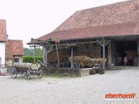 Im Freilichtmuseum KÃ?rnbach