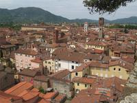 Lucca