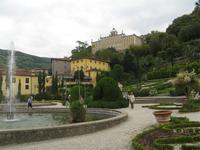Collodi