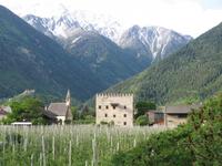 Goldrain