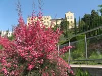 Gärten Trauttmansdorff