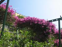 Gärten Trauttmansdorff