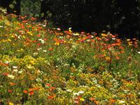 Gärten Trauttmansdorff