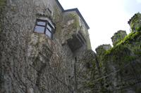 Burg Reifenstein
