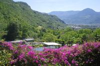 Gärten von Schloss Trauttmansdorff