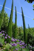 Gärten von Schloss Trauttmansdorff