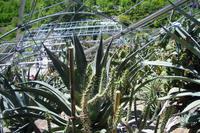 Gärten von Schloss Trauttmansdorff