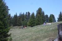 Wanderung auf der Seiser Alm