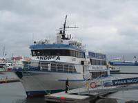 Ausflugsschiff zur Walsafari