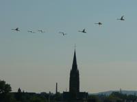 Bonn