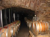 in der Winzergenossenschafz Mayschoß