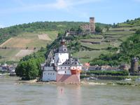 Kaub