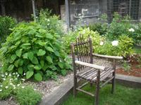 Kirchgarten in Troyes