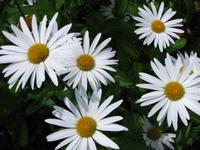 Im Santa Catarina Park