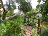 Im Kräutergarten von Esmeralda