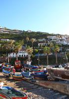 Camara de Lobos und Bananenplantagen im Hintergrund