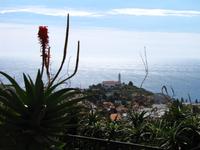 Blick vom Pico dos Barcelos