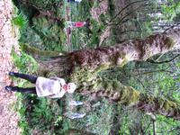 Kleine Levada-Wanderung bei Ribeiro Frio