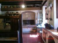 Museu Plandolit