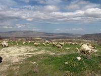 Beginn der Wanderung durch das Weiße Tal