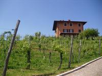 Weingut Podere al Valloni