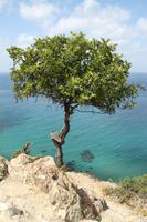 Akamas Naturschutzgebiet