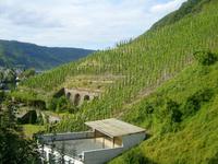 in Beilstein