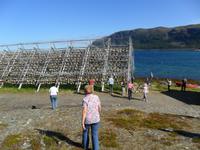 060 Norwegen, Porsanger, Stockfischgestelle