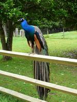 Bridge to Nowhere Lodge