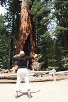 ganz schön große Arme ...