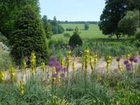 West Dean Garden - Blumenpracht