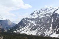 weiter gehts auf dem Icefields Parkway