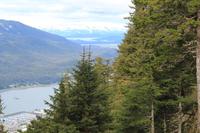 Blick vom Mount Robert's