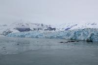 Hubbard-Gletscher