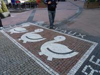 Enten ohne Schnabel in Clervaux