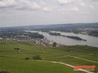 Blick auf Rüdesheim