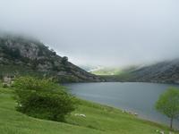 Lagos de Covadonga