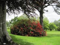 Gestaltung Heligan