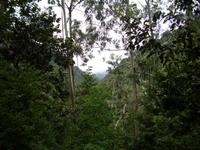 Levada-Wanderung