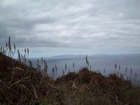 Ausblick auf Ilhas Desertas