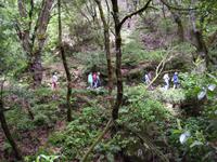 Levada-Wanderung