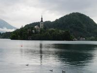 Bleder See