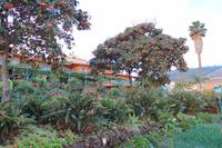 Hotel Quinta Splendida